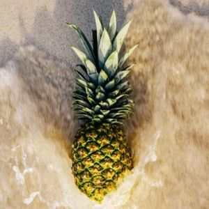 Meet your Posher, Jordyn